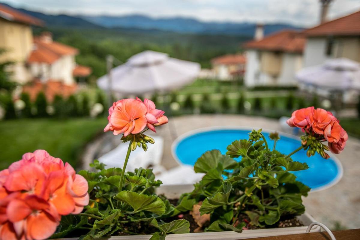 Vila Gardenia Gumoshtnik Exterior foto